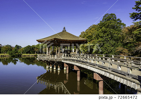 奈良公園 浮見堂 鷺池 奈良県奈良市 奈良公園 浮見堂 鷺池 奈良県奈良市 72665472