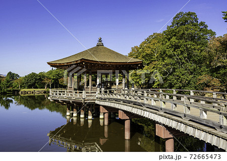 奈良公園 浮見堂 鷺池 奈良県奈良市 奈良公園 浮見堂 鷺池 奈良県奈良市 72665473