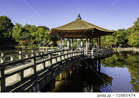 奈良公園　浮見堂　鷺池　奈良県奈良市 72665474
