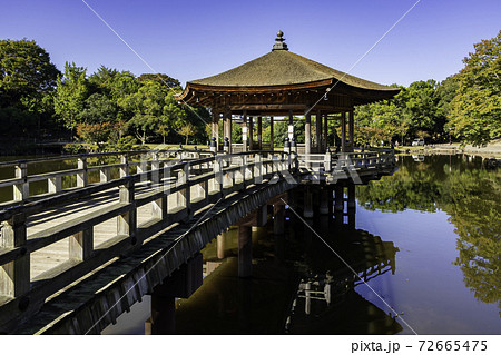奈良公園　浮見堂　鷺池　奈良県奈良市 72665475