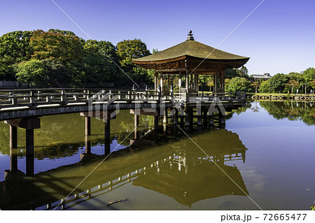奈良公園　浮見堂　鷺池　奈良県奈良市 72665477