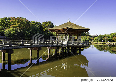 奈良公園　浮見堂　鷺池　奈良県奈良市 72665478