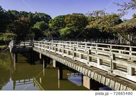 奈良公園　浮見堂　鷺池　奈良県奈良市 72665480
