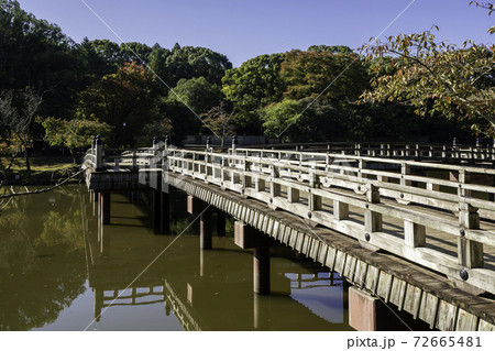 奈良公園　浮見堂　鷺池　奈良県奈良市 72665481