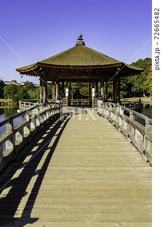 奈良公園　浮見堂　鷺池　奈良県奈良市 72665482