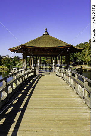 奈良公園　浮見堂　鷺池　奈良県奈良市 72665483