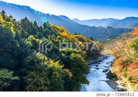 青梅市　御岳渓谷紅葉　天空もみじまつり 72665812