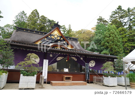 大崎八幡宮　松島 72666579