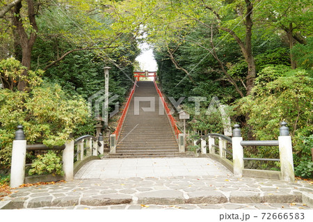 大崎八幡宮 松島 大崎八幡宮 松島 72666583