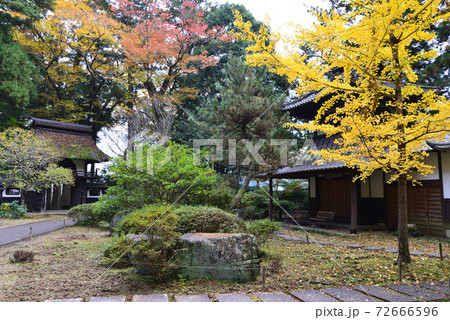 西念寺 2020-11-8 #68 西念寺 2020-11-8 #68 72666596