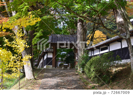 西念寺 2020-11-8 #89 西念寺 2020-11-8 #89 72667009