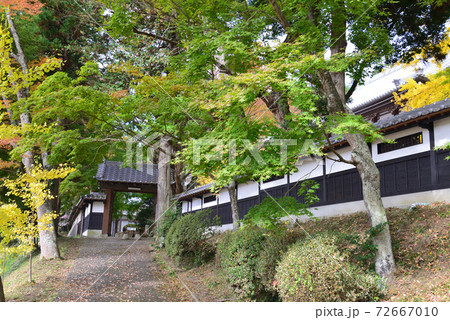 西念寺　2020-11-8　　＃88 72667010