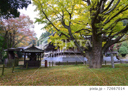 西念寺　2020-11-8　　＃84 72667014