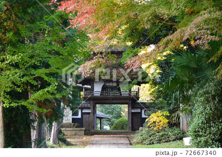 西念寺　2020-11-8　　＃100 72667340