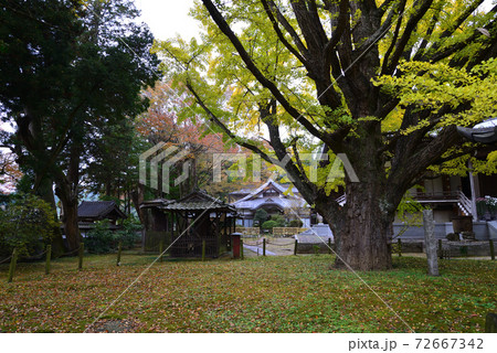 西念寺　2020-11-8　　＃98 72667342
