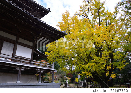 西念寺　2020-11-8　　＃91 72667350