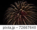 京都　芸術花火大会 72667640