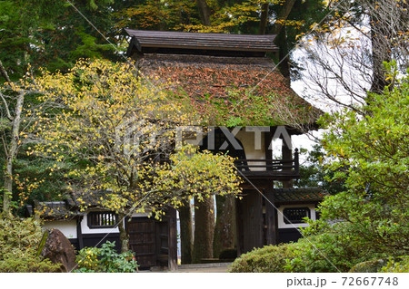 西念寺　2020-11-8　　＃109 72667748