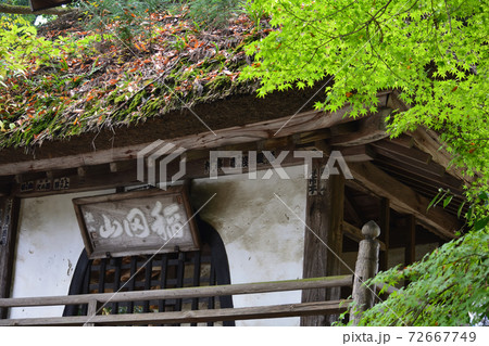 西念寺 2020-11-8 #108 西念寺 2020-11-8 #108 72667749