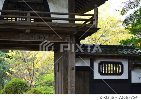 西念寺　2020-11-8　　＃104 72667754