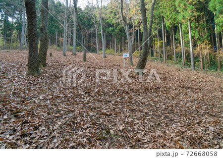 すずらん群生地(笠間・吾国愛宕ハイキングコース) すずらん群生地(笠間・吾国愛宕ハイキングコース) 72668058