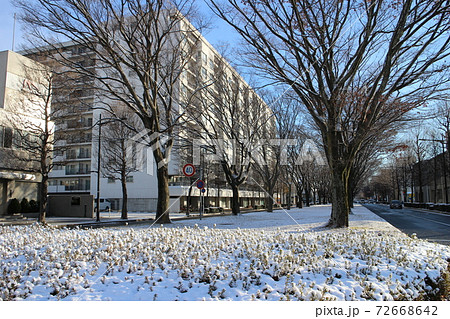 仙台市若林区　雪の卸町周辺 72668642