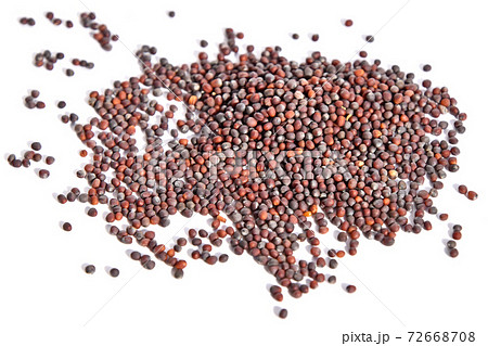 タネ(京水な) タネ(京水な) 72668708