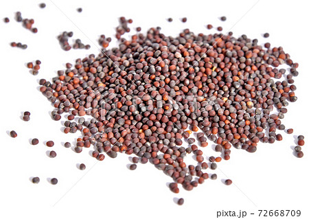 タネ（京水な） 72668709