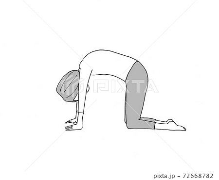 ヨガ 姿勢を整えるネコの前屈のポーズのイラスト素材 ヨガ 姿勢を整えるネコの前屈のポーズのイラスト素材