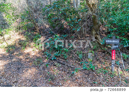 奥久慈男体山の登山口(男体山神社側) 奥久慈男体山の登山口(男体山神社側) 72668899