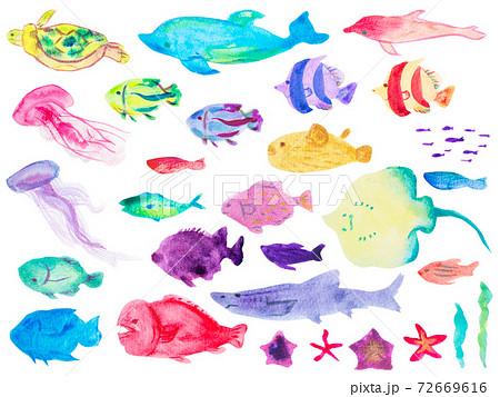 カラフルな水彩の海の生き物のイラスト素材