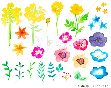 水彩のいろいろな花のイラスト素材