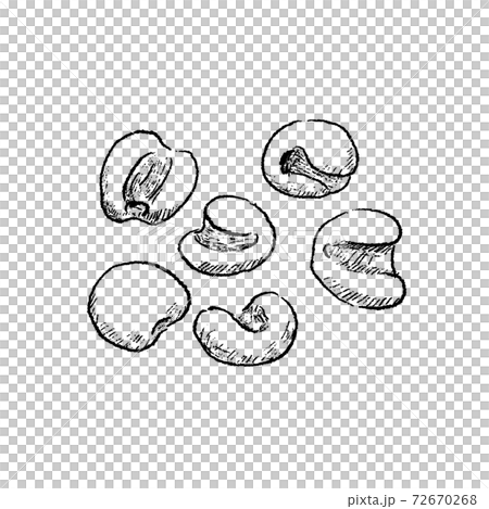 Coix line art sketch 72670268