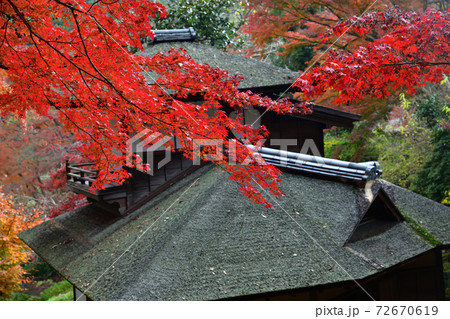 紅葉 三渓園 横浜 紅葉 三渓園 横浜 72670619