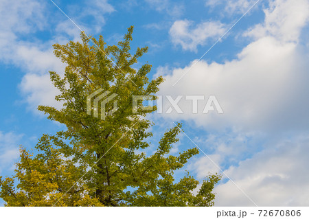 秋空 背景用 高画質素材の写真素材 [72670806] - PIXTA