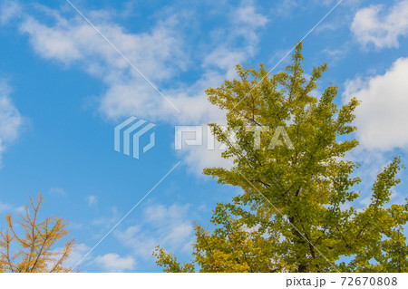 秋空 背景用 高画質素材の写真素材