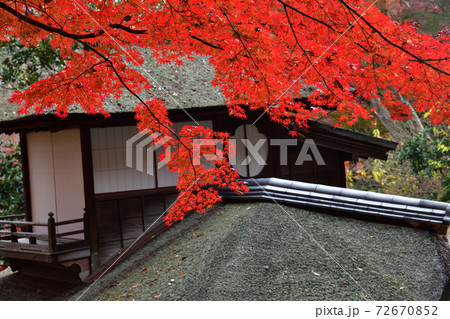 紅葉　三渓園　横浜 72670852