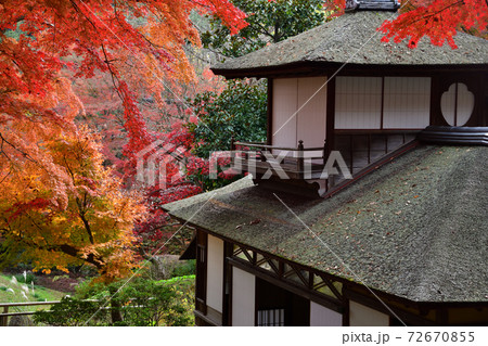 紅葉 三渓園 横浜 紅葉 三渓園 横浜 72670855