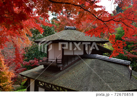 紅葉 三渓園 横浜 紅葉 三渓園 横浜 72670858