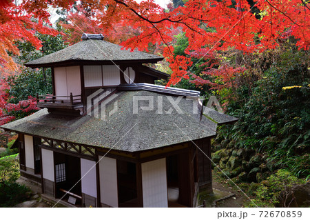 紅葉 三渓園 横浜 紅葉 三渓園 横浜 72670859