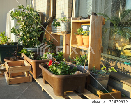 ベランダガーデンとdiyの写真素材