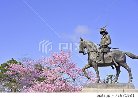 桜と伊達政宗騎馬像 72671931