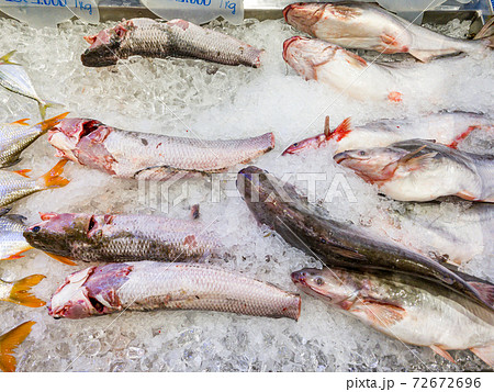 Fresh fish for sale at frozen seafood stall in Fresh fish for sale at frozen seafood stall in 72672696
