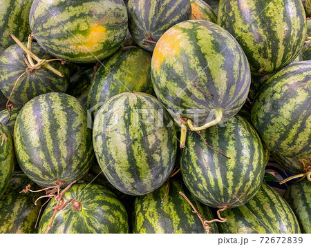 Heap of fresh stripped watermelons for sale at 72672839
