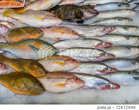 Frozen fish on ice at the seafood market 72672840