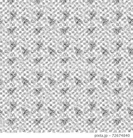 Coix pattern hand-painted sketch 72674840