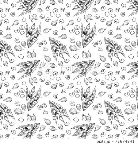 ハトムギ柄　手描きのスケッチ 72674841