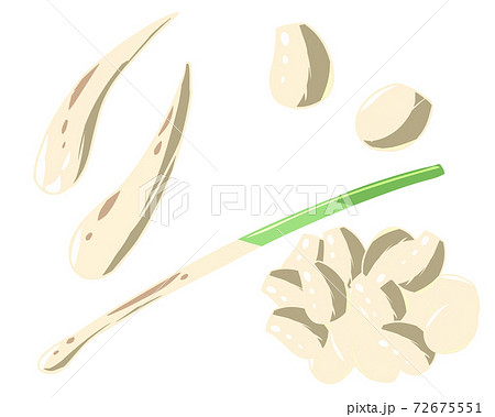 らっきょう 線無し のイラスト素材