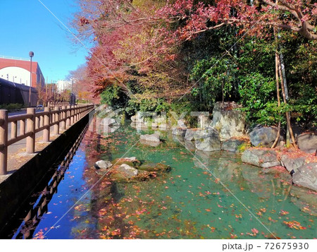 龍津寺(東京の名湧水57選) 晩秋 龍津寺(東京の名湧水57選) 晩秋 72675930