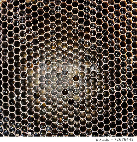 hexagon structure is honeycomb from bee hive filled with golden honey 72676445